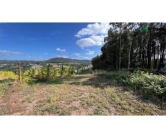 Terreno en venta en Sarandón ideal para plantación de viñedo, ayuntamiento de