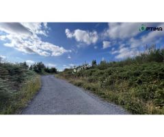 Terreno en venta en Sarandón ideal para plantación de viñedo, ayuntamiento de