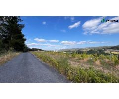 Terreno en venta en Sarandón ideal para plantación de viñedo, ayuntamiento de
