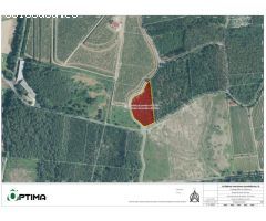Terreno en venta en Sarandón ideal para plantación de viñedo, ayuntamiento de