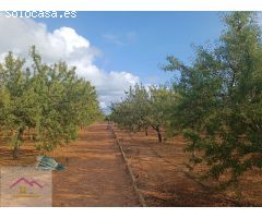 FINCA RUSTICA