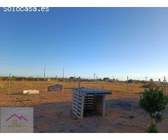 CHALET INDEPENDIENTE CON TERRENO Y PISCINA PRIVADA