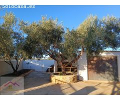 CHALET INDEPENDIENTE CON TERRENO Y PISCINA PRIVADA