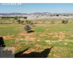 CASA DE CAMPO CON TERRENO