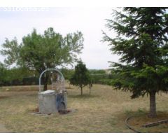 Parcela en venta en Fuente el Saz de Jarama