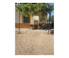 Chalet independiente en venta en Valdetorres de Jarama