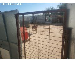 Chalet independiente en venta en Valdetorres de Jarama