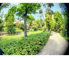MAGNÍFICA FINCA CON 3 PROPIEDADES INDEPENDIENTES Y GRAN JARDÍN.