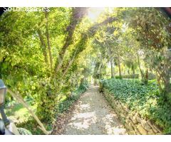 MAGNÍFICA FINCA CON 3 PROPIEDADES INDEPENDIENTES Y GRAN JARDÍN.