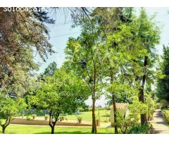 MAGNÍFICA FINCA CON 3 PROPIEDADES INDEPENDIENTES Y GRAN JARDÍN.