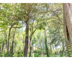 MAGNÍFICA FINCA CON 3 PROPIEDADES INDEPENDIENTES Y GRAN JARDÍN.