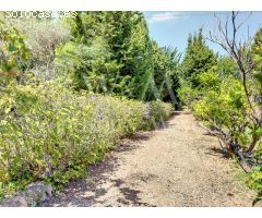 MAGNÍFICA FINCA CON 3 PROPIEDADES INDEPENDIENTES Y GRAN JARDÍN.