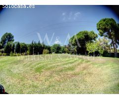 MAGNÍFICA FINCA CON 3 PROPIEDADES INDEPENDIENTES Y GRAN JARDÍN.