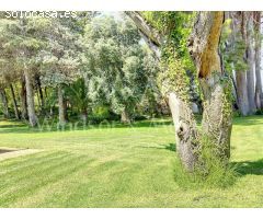 MAGNÍFICA FINCA CON 3 PROPIEDADES INDEPENDIENTES Y GRAN JARDÍN.