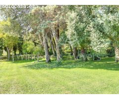 MAGNÍFICA FINCA CON 3 PROPIEDADES INDEPENDIENTES Y GRAN JARDÍN.