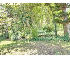 MAGNÍFICA FINCA CON 3 PROPIEDADES INDEPENDIENTES Y GRAN JARDÍN.