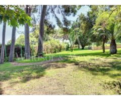 MAGNÍFICA FINCA CON 3 PROPIEDADES INDEPENDIENTES Y GRAN JARDÍN.