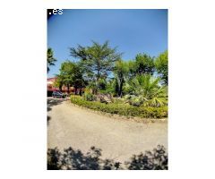 MAGNÍFICA FINCA CON 3 PROPIEDADES INDEPENDIENTES Y GRAN JARDÍN.