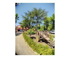 MAGNÍFICA FINCA CON 3 PROPIEDADES INDEPENDIENTES Y GRAN JARDÍN.