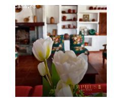 Encantadora Casa de Campo en Valsequillo