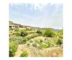 Encantadora Casa Rural Tajinaste en Valsequillo de Gran Canaria