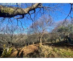 FINCA EN VALLE DEL GENAL