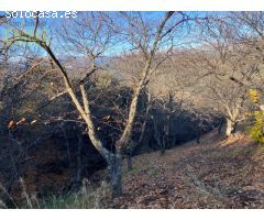 FINCA EN VALLE DEL GENAL