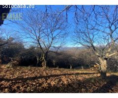 FINCA EN VALLE DEL GENAL
