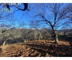 FINCA EN VALLE DEL GENAL