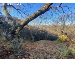 FINCA EN VALLE DEL GENAL
