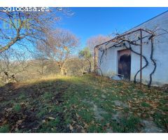 FINCA EN VALLE DEL GENAL