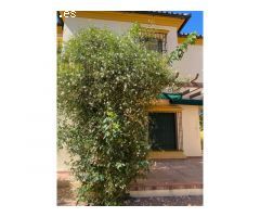 GRAN CASA EN ZONA DE LA PLANILLA