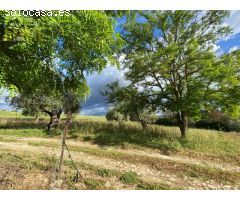 FINCA CON CASA Y NAVE A 10 MINUTOS DE RONDA
