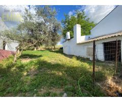 FINCA CON CASA Y NAVE A 10 MINUTOS DE RONDA