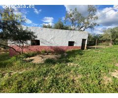 FINCA CON CASA Y NAVE A 10 MINUTOS DE RONDA
