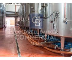 Traspaso de Fabrica de Cerveza Artesanal y Local Restauracion funcionando en Las