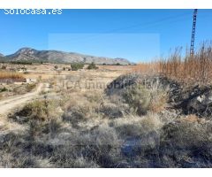 SE VENDE PARCELA DE 12000 METROS CUADRADOS EN BENABLON