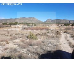 SE VENDE PARCELA DE 12000 METROS CUADRADOS EN BENABLON