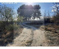 SE VENDE PARCELA DE 12000 METROS CUADRADOS EN BENABLON