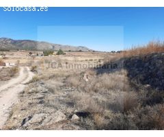 SE VENDE PARCELA DE 12000 METROS CUADRADOS EN BENABLON