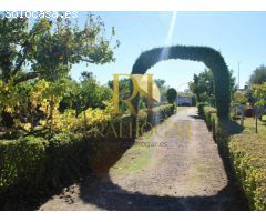 LA VIRGEN DEL CAMINO: Finca de recreo a 10 minutos de León!!