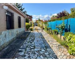 SANTA MARÍA DEL CONDADO: ¡Un hogar ideal para los amantes de la naturaleza!