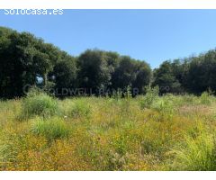 Nave Industrial con Oficinas, Parcela de 15.000 m2 - Única en Vigo