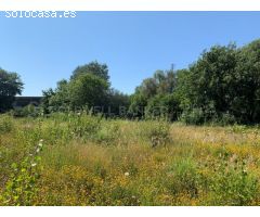 Nave Industrial con Oficinas, Parcela de 15.000 m2 - Única en Vigo