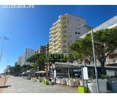 Venta de parcela en Platja dAro: Zona: Parc Dels Estanys, superficie de suelo