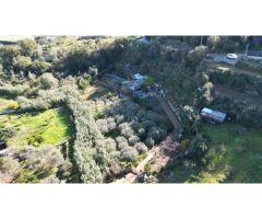 TERRENO AGRICOLA EN SANT BOI DE LLOBREGAT
