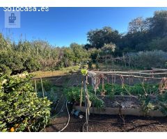 TERRENO AGRICOLA EN SANT BOI DE LLOBREGAT