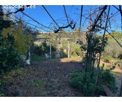 TERRENO AGRICOLA EN SANT BOI DE LLOBREGAT