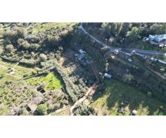 TERRENO AGRICOLA EN SANT BOI DE LLOBREGAT