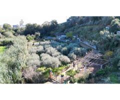 TERRENO AGRICOLA EN SANT BOI DE LLOBREGAT